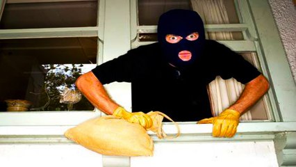 МОЙ ДРУГ НАГЛЫЙ ВОР