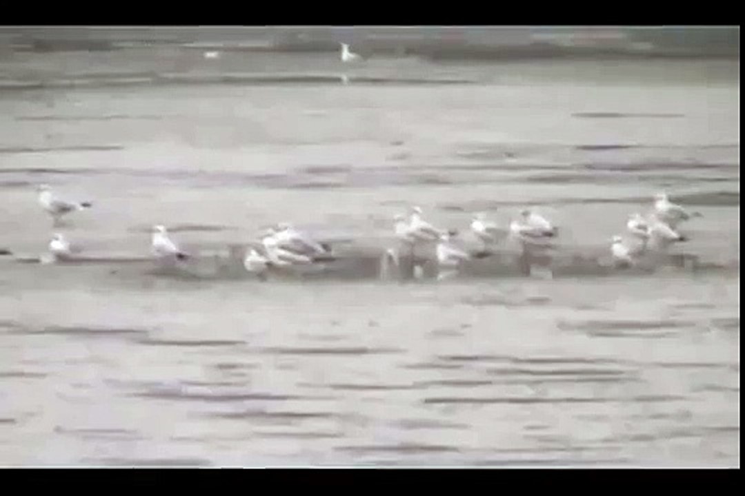 Lacul Puiesti- Iezer judetul Vaslui