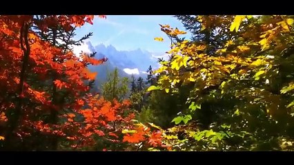 Best ever drone videos Drones are awesome