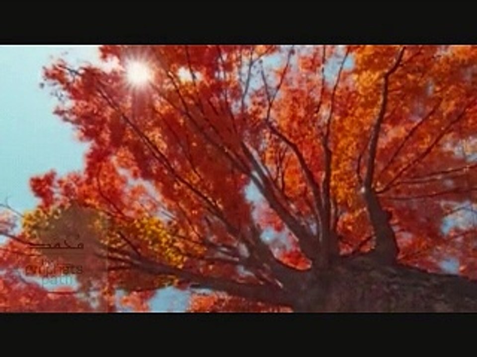 Haji Imdadullah Phulpoto NEw naat Iyo Iyo Ramzan