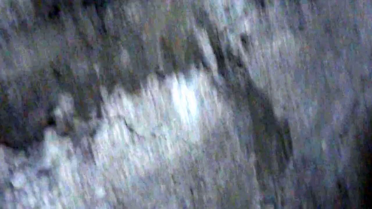 Nuevo integrante en la familia!!!