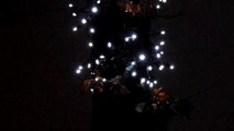 Baum mit Lichterkette an Nordseepassage: Wer Jesus hat, hat Licht und ewiges Leben.