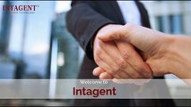 Searching For Real Estate Website Designers- Intagent.com