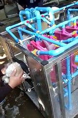 Une machine automatique qui lave les chiens. pas certain qu'ils aiment ça