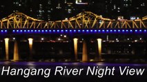 Han River Night View, Korea〔Seoul Vlog#5〕