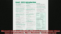 READ book  Microsoft Excel 2013 Introduction Quick Reference Guide Cheat Sheet of Instructions Tips  DOWNLOAD ONLINE