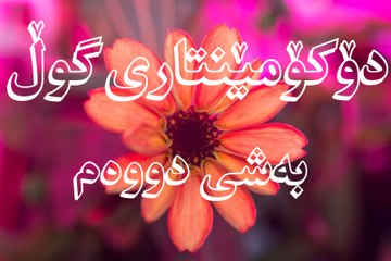 دۆکۆمێنتاری گوڵ بەشی دووەم