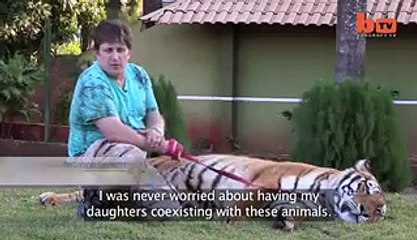 animal lover moves SEVEN tigers into his home