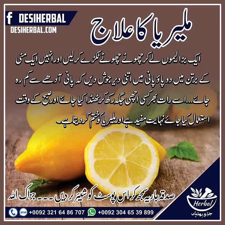 Maleria K Ilaj K Liye Behtreen Nuskha