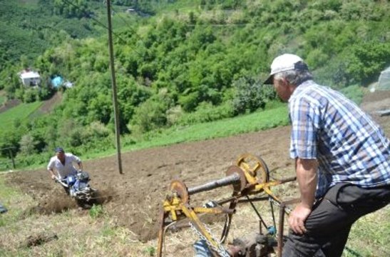 Karadenizli Vatandaş Yüzde 70 Eğimli Arazide Tarımın Nasıl Yapılacağını Gösterdi