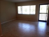 Clearwater Home Rentals 1bed plus bonus room by Leiza Halsey of Charles Rutenberg Realty