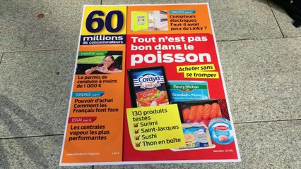 Ce que contiennent réellement nos boîtes de thon