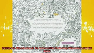 EBOOK ONLINE  Fairies in Wonderland An Interactive Coloring Adventure for All Ages READ ONLINE