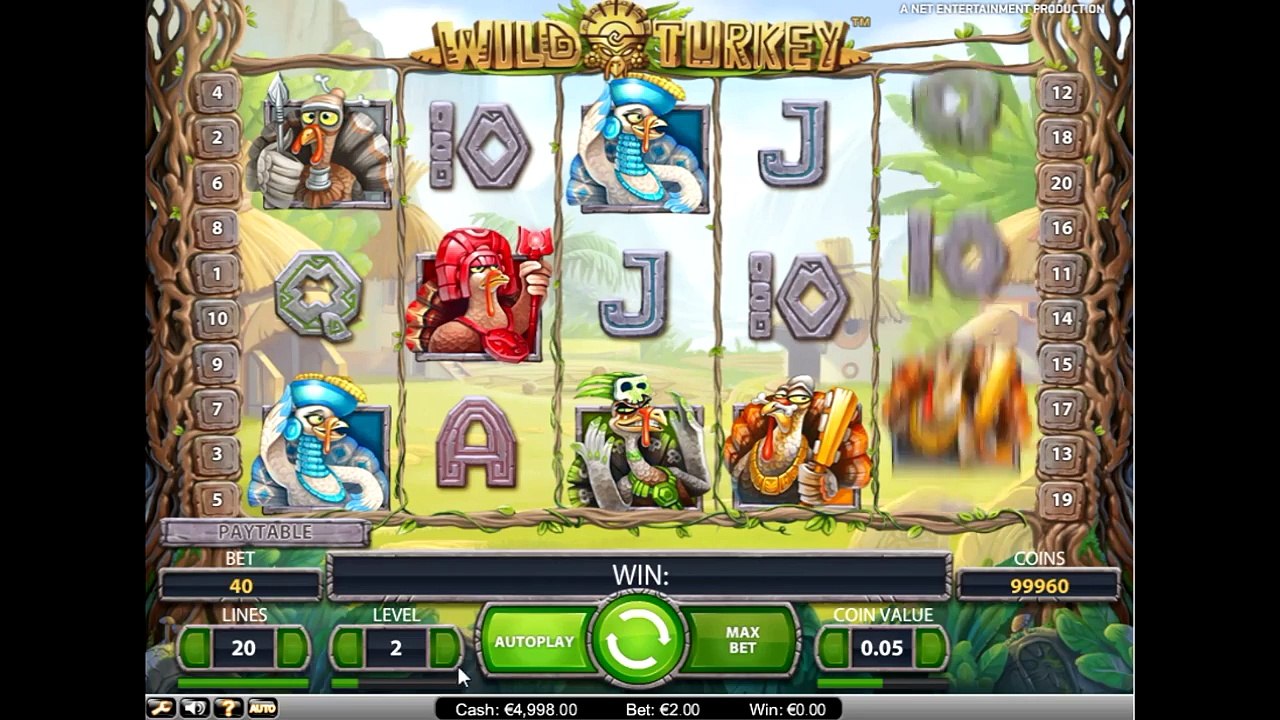 Обзор слота wild turkey: узнаем секреты игры