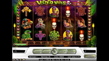 Основные правила и характеристики слота Куклы вуду (voodo vibes)