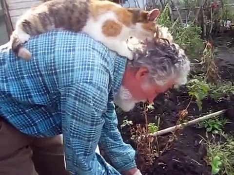 Sta lavorando al suo arto, ma il suo gattino non vuole proprio staccarsi da lui.