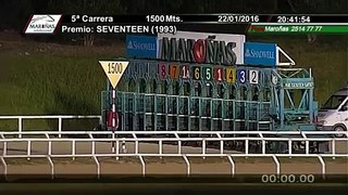 22/01/2016 – Hipodromo Maroñas – Carr 5 – SEVENTEEN (1993)