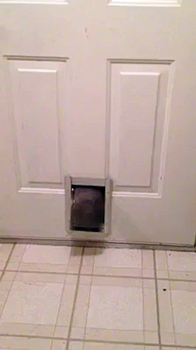 Android Store Việt Nam3