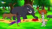 Hindi Story for Children Moral   Dadi Maa ki Kahaniyan   Panchatantra Animal Short Stories for Kids