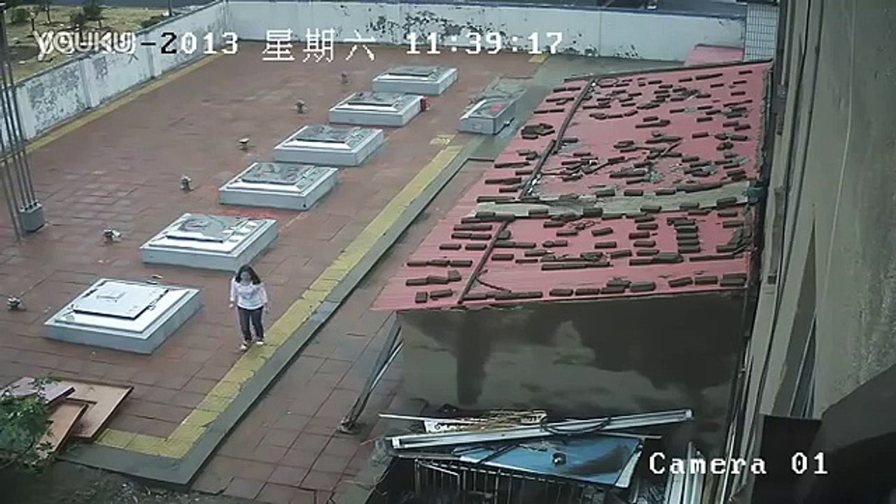 Tibetan mastiff attacking caught on tape