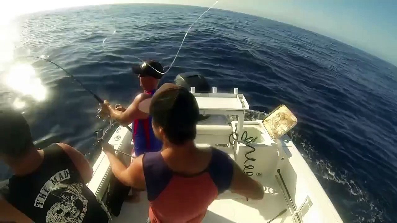 Marlin jump on board
