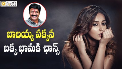 Ileana to Romance Balakrishna in GPSK Movie - Filmyfocus.com