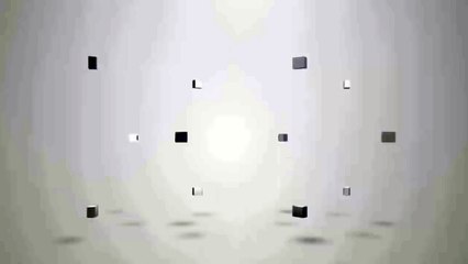 Adults get into fight at youth baseball game in Florida