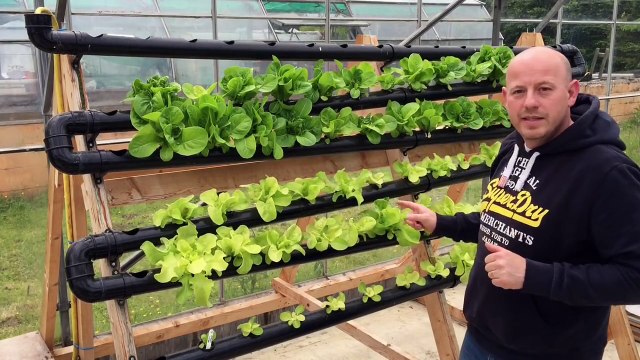 Chilli Farm - Aquaponics & Hydroponics - DIY NFT System Setup