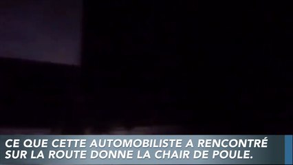 Cette automobiliste croise quelque chose de très étrange sur une route de Russie !
