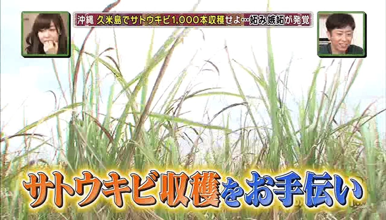 沖縄の旅