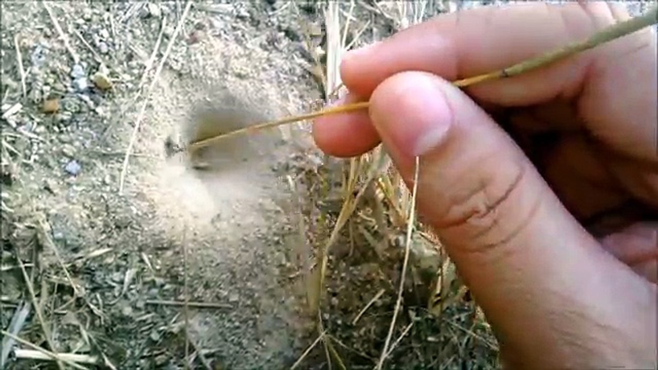 บ้านนอกคอกนา