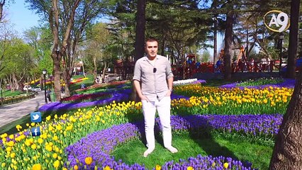 Bahar başlıyor, hayat yeniden canlanıyor