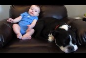 Bebe solta um Pum e cão foge com o cheiro