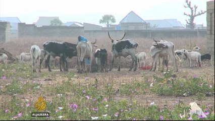 Bandit attacks displace hundreds of villagers in Nigeria