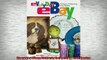 Free PDF Downlaod  Everyday eBay Culture Collecting and Desire READ ONLINE