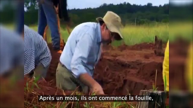 Fourmis : une Cité-État digne des plus grands architectes