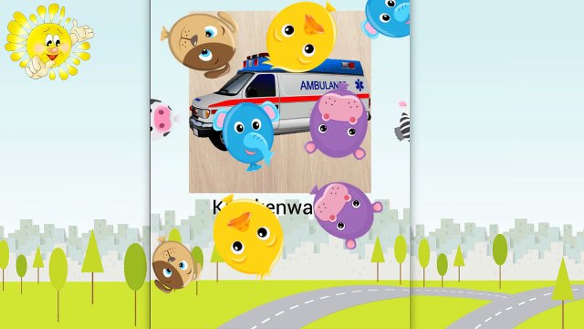 Polizeiwagen, Rettungswagen, Schulbus - Cars Puzzles - Police car, ambulance, school bus - Deutsch