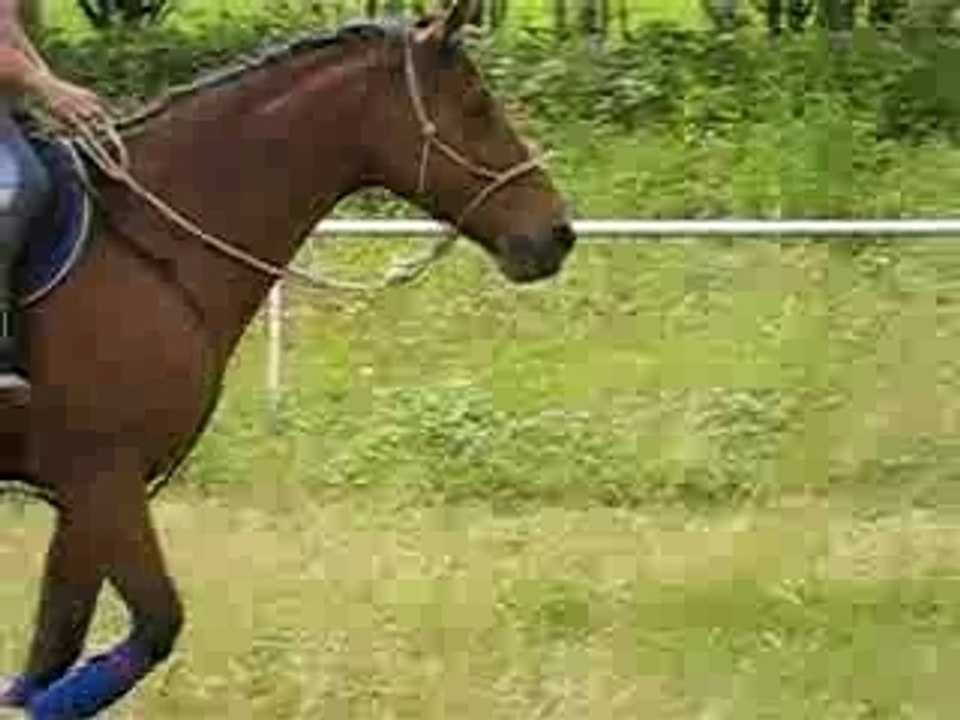 laura sur flicka, obstacle!