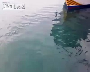 Tuna doesn't like the taste of seagull