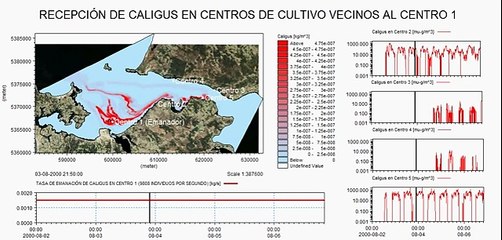 Análisis de impactos sanitarios de Caligus en Canal Chacao