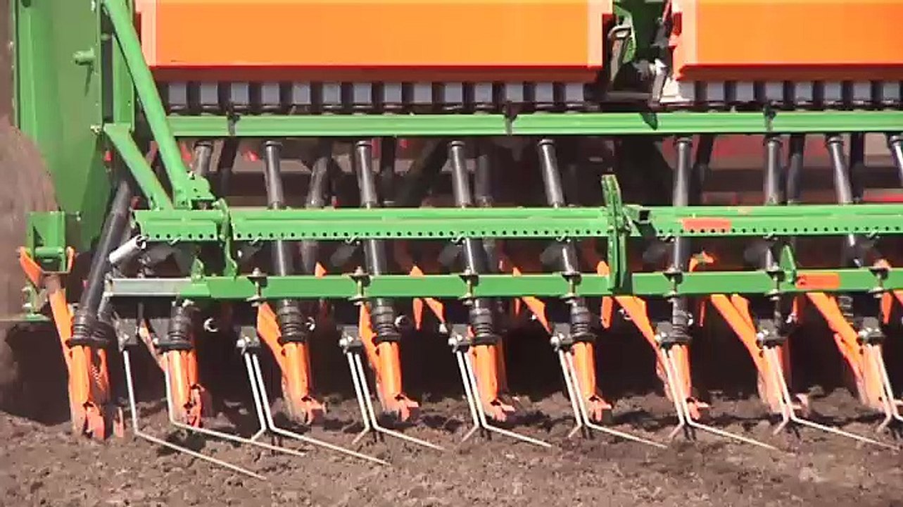 Speciaal natuurgebied bij Eemshaven voor blauwe kiekendief en velduil - RTV Noord