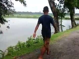 সেলফি subió un nuevo video.