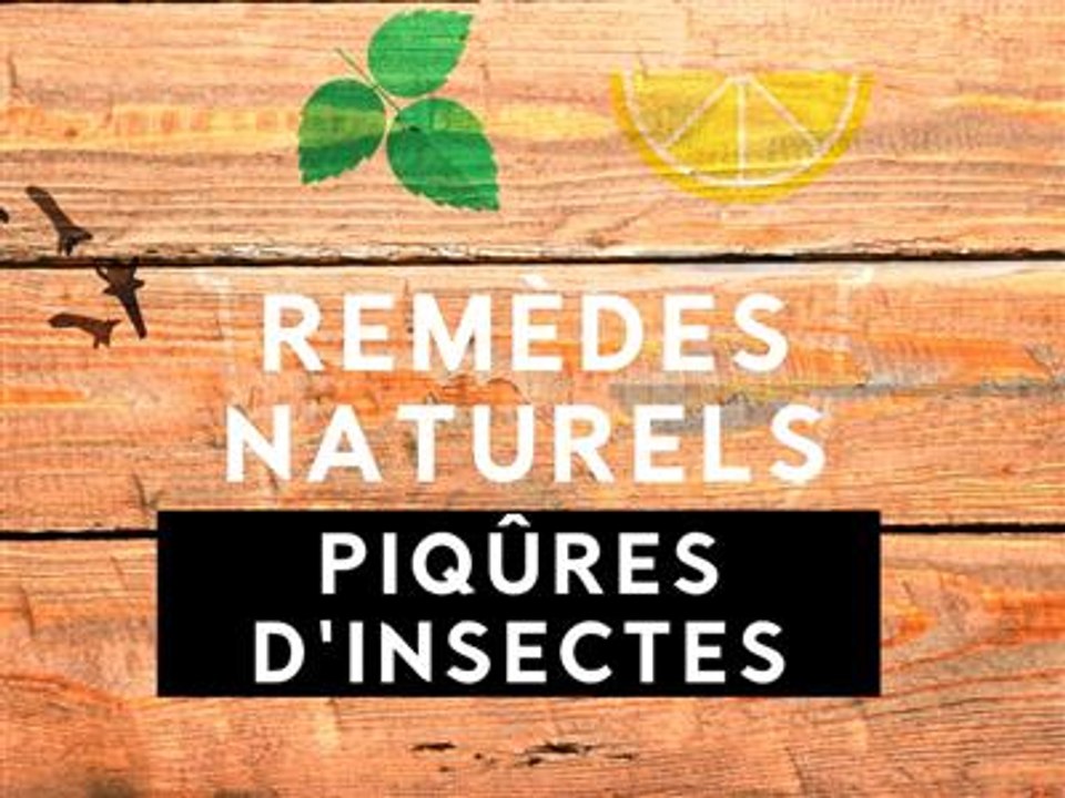 Remèdes naturels : les piqûres d'insectes, c'est fini !