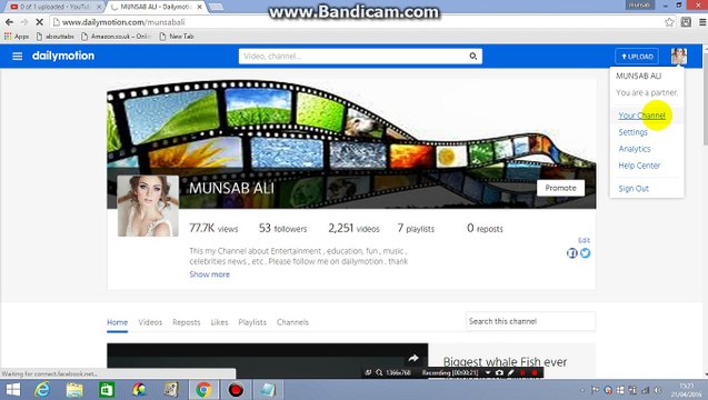 How to Check Website Monetization Earnings on Your Daily Motion Channel