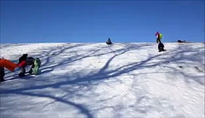 Un enfant fonce en luge contre un arbre