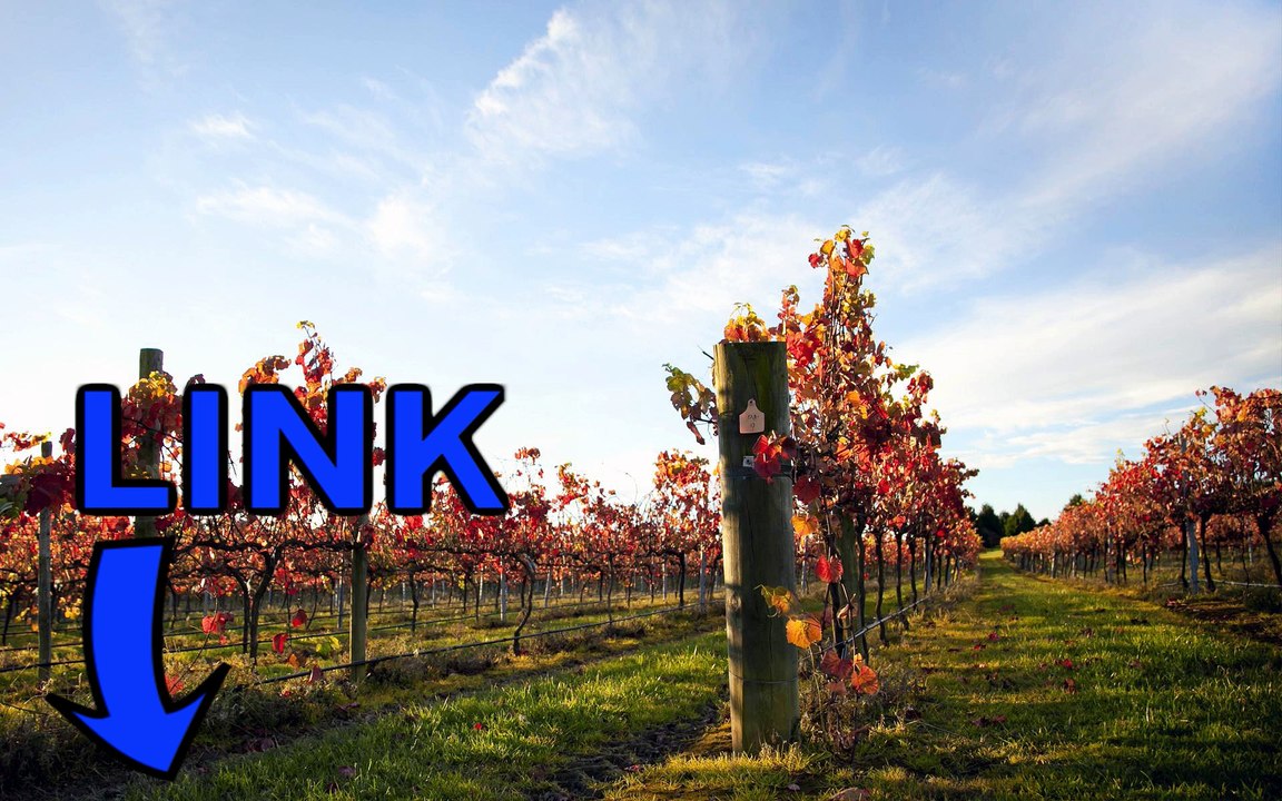 Download TrackMania Nations Forever keygen telecharger 2016