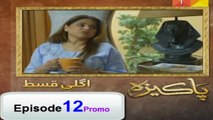 Pakeeza Episode 12 Promo HD on HUM Tv 21st April 2016