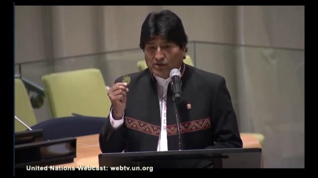 Morales defiende la hoja de coca ante la ONU