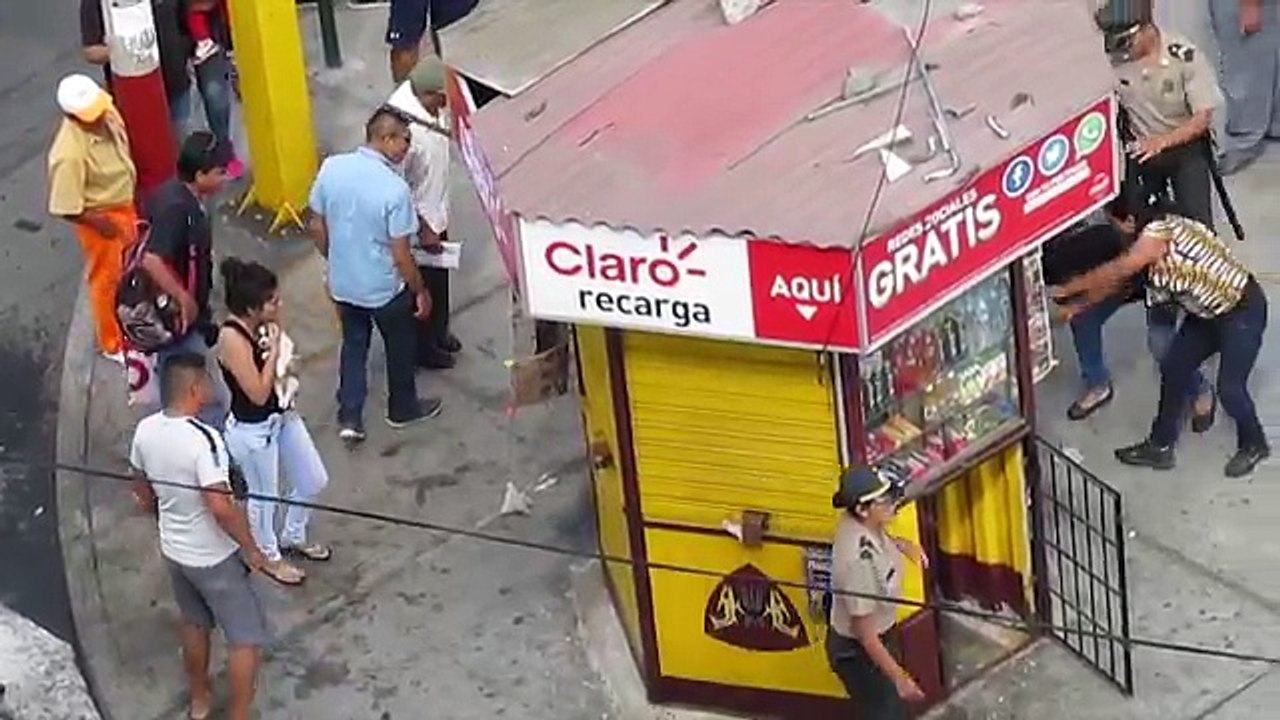 Des passants essaient d'arrêter un combat entre deux chiens