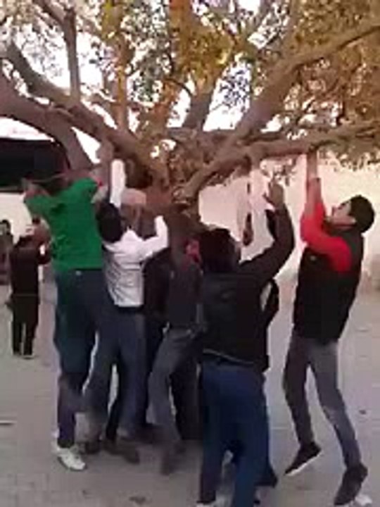 new funny video..